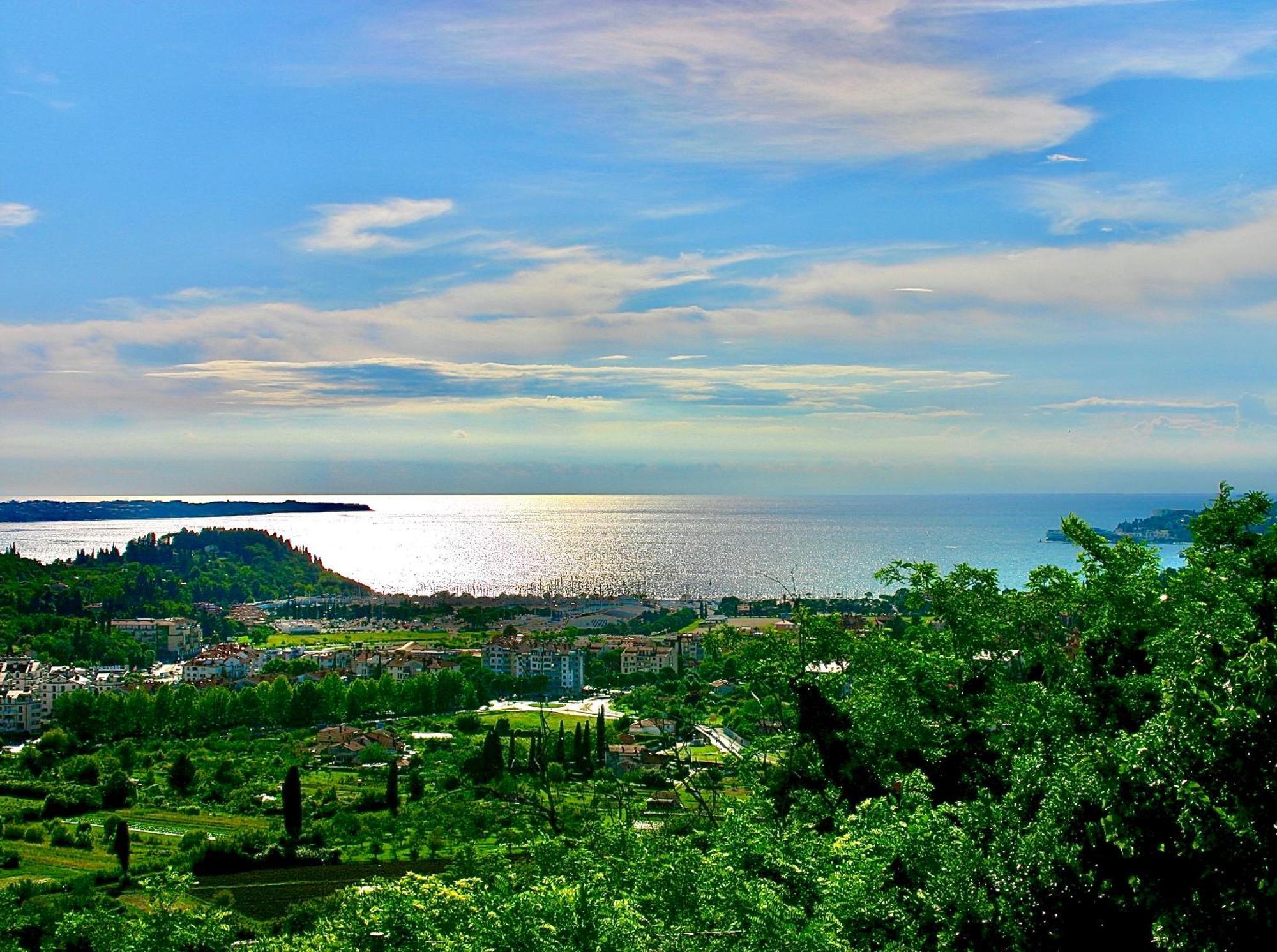 ポルトローシュSea View Olive Retreatアパートメント エクステリア 写真
